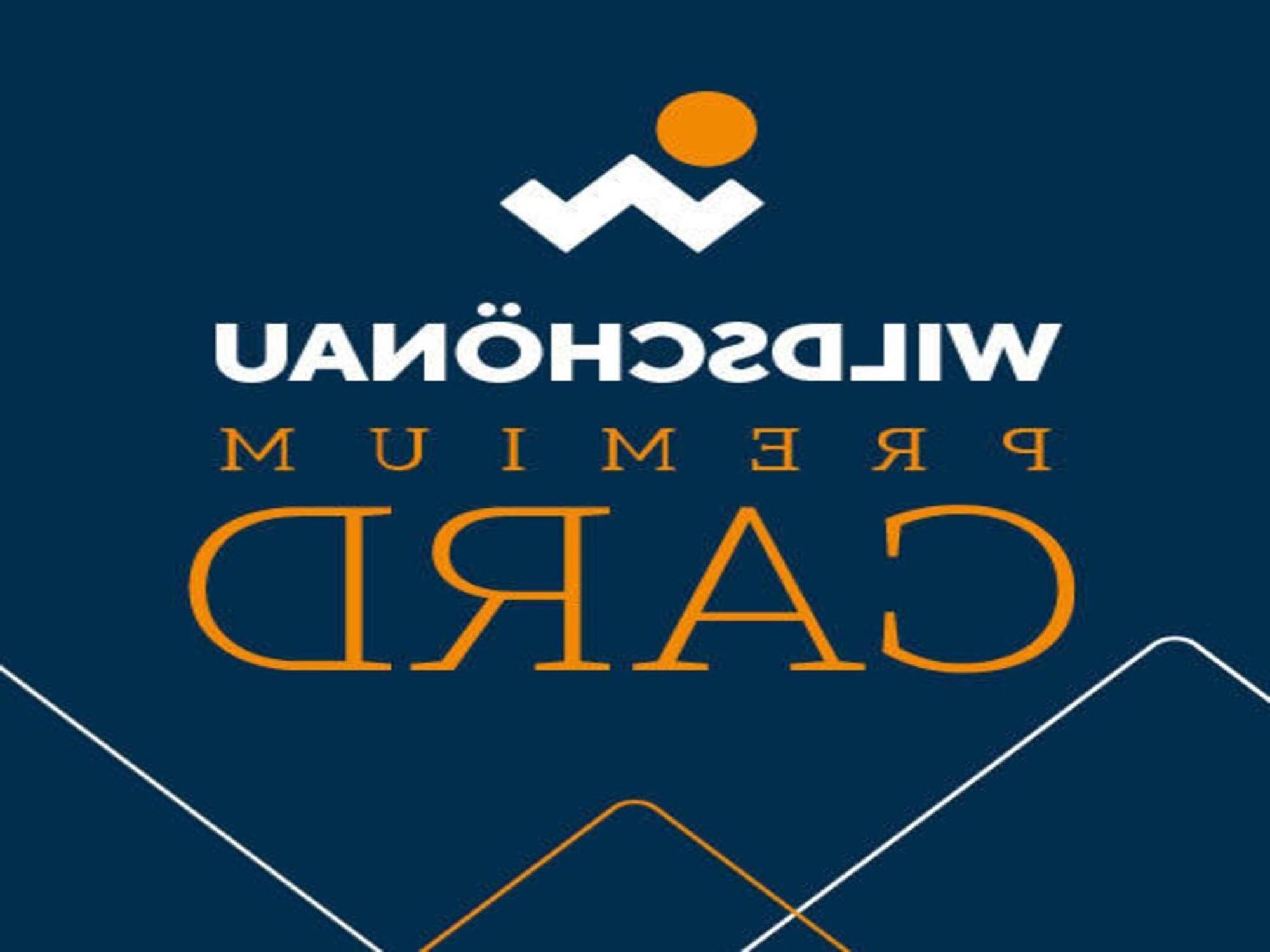 Vicky Apartments, Wildschoenau-Niederau Εξωτερικό φωτογραφία